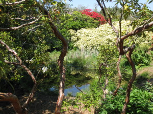 Beautiful landscape at the gardens