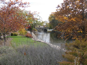 View of river downtown Naperville