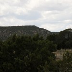 New Mexico Hills