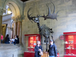 Fosters with skeleton of giant Irish deer