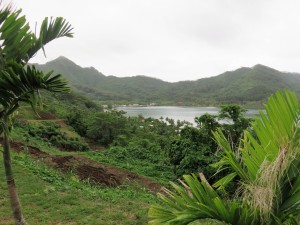 Island scene