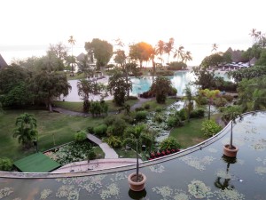 View of landscape and pool from room