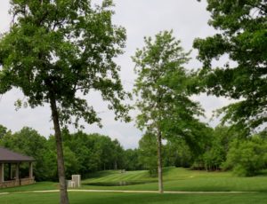One of the golf courses 
